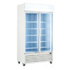FED LG-1200GE 2 Door Upright Display Fridge 1091 Ltr