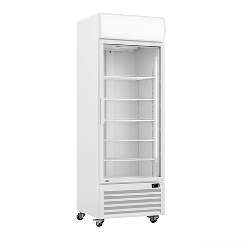 FED LG-540GE Single Door Upright Display Fridge 540 Ltr