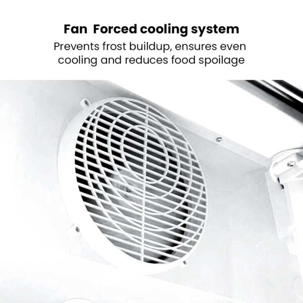 FED LG 1203BP 4
