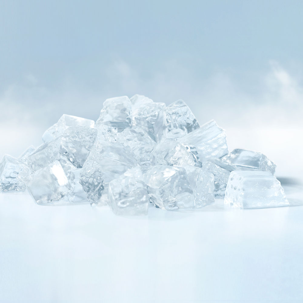 Hoshizaki FM-480AKE-HCN-SB Nugget Ice Maker Head Only 330Kg/Day